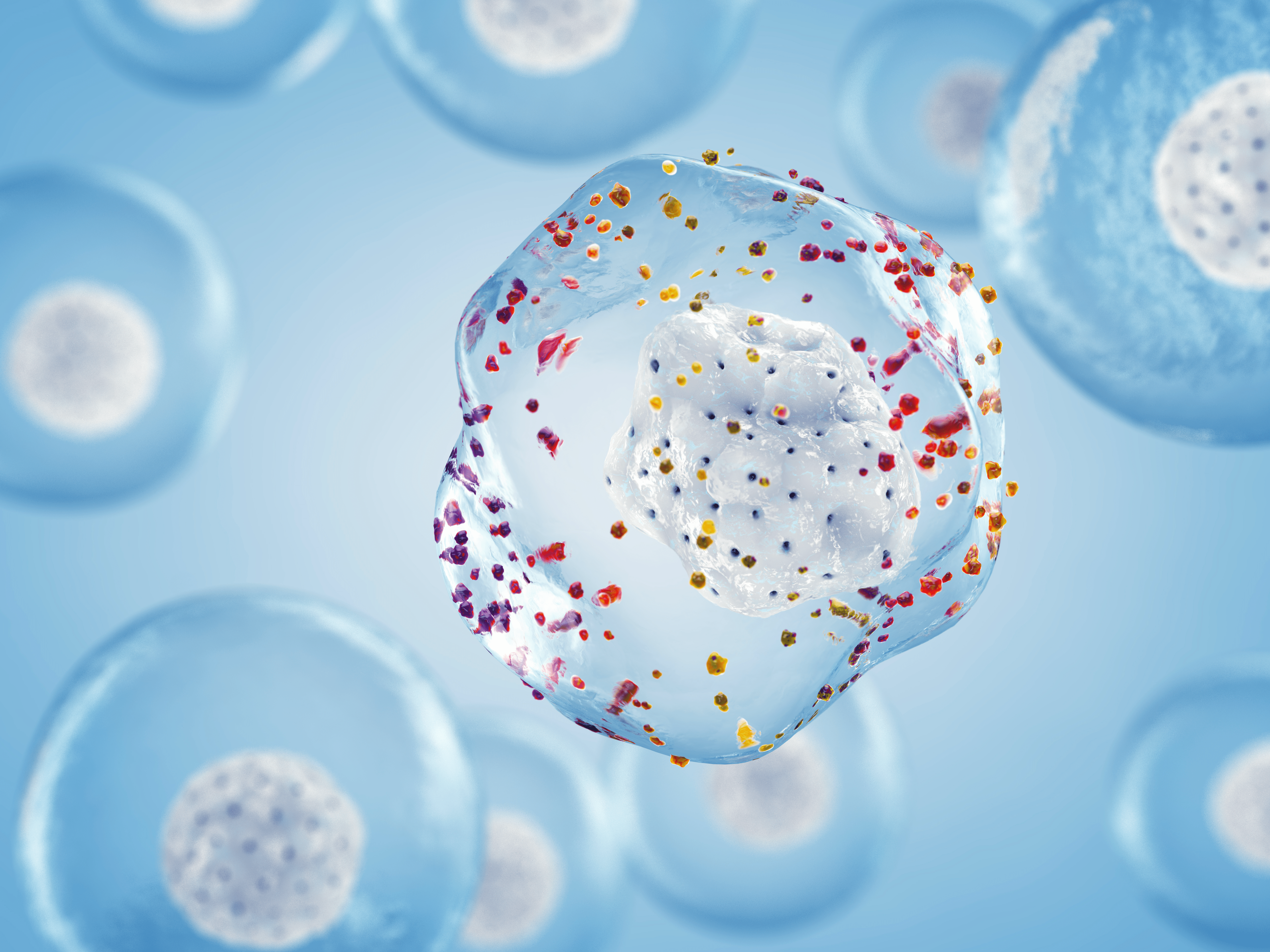Oxidative Stress: In Defense of Radiance - Eliara Skincare