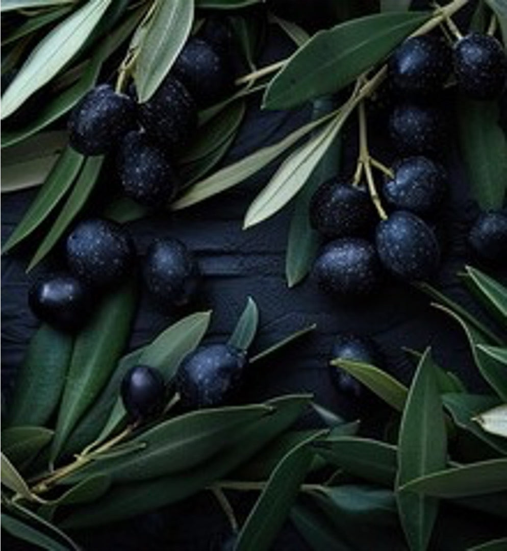 Close-up of dark green olives with leaves on a dark background